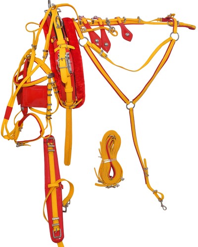 Pvc quick hitch trotting - hitch,