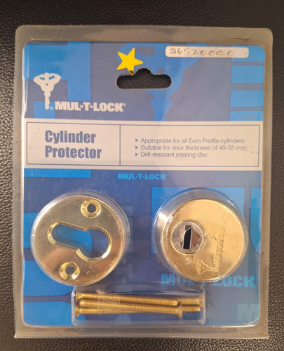 Euro security escutcheon - euro,