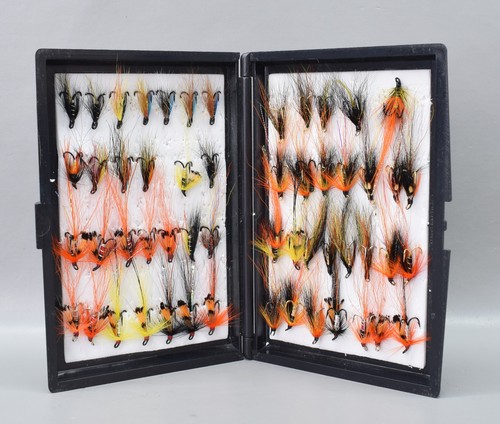 Devlin fly box - fly, 55