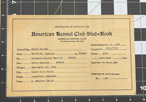 1927 american kennel club - 1927,