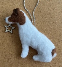 JACK RUSSELL TERRIER with