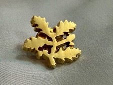National Trust Gold Tone Pin