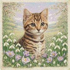 Bengal Kitten Cat In Spring