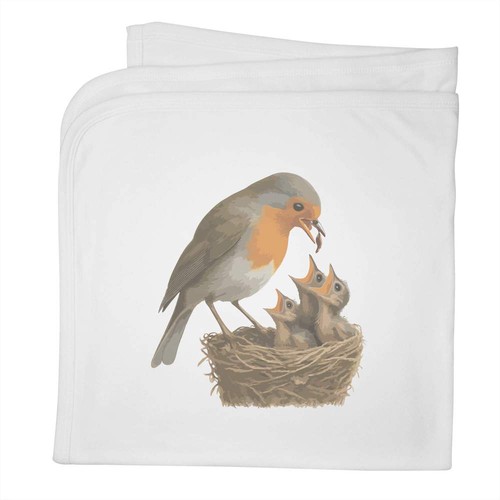 Robin feeding nest chicks - nest, chicks'