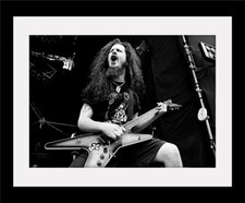 PANTERA Dimebag Rebel Rock Metal Vintage style  Poster Mounted Framed  FREE POST