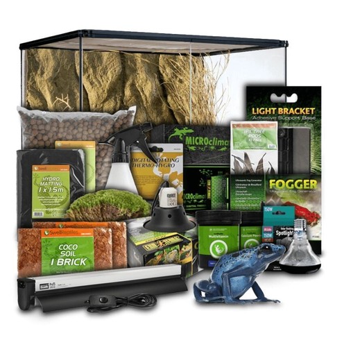 Swell reptiles frog - reptiles,