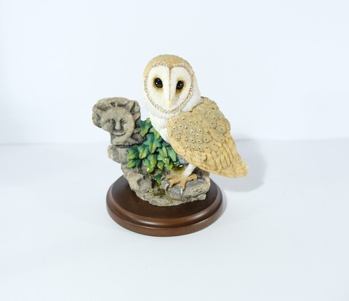 Barn owl with stone - owl, sun
