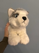 Husky Wolf Puppy Dog Soft Toy