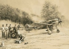 Breaking Cover by Robert Taylor signed by WWII Luftwaffe Fw190 Pilots