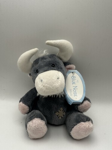 Blue nose friends noo - my,