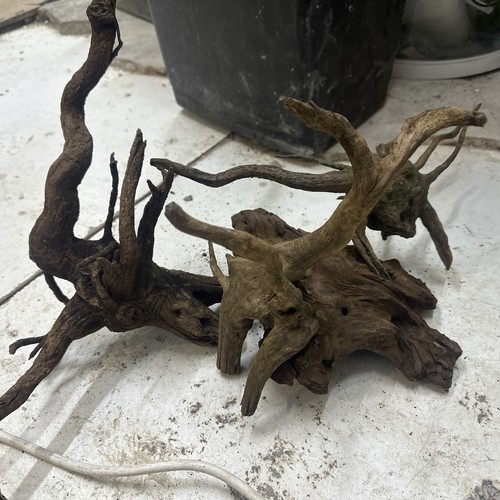 Gnarly scapers wood aquarium - wood,