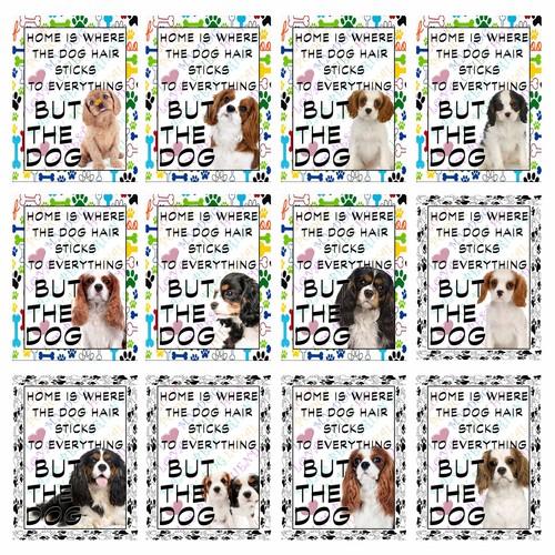 Cavalier king charles spaniel - cavalier,