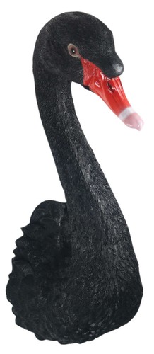 5cm black swan wall - black,