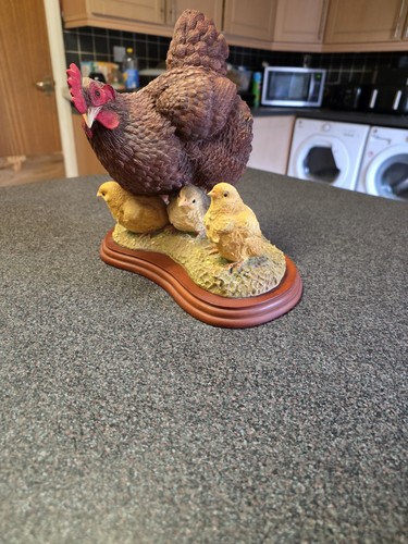 Large hen and - large, chick's