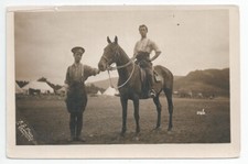 WW1 Royal Artillery + Horse