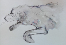 Dog Drawing Original Small Pen