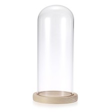 Glass Display Cloche Dome with