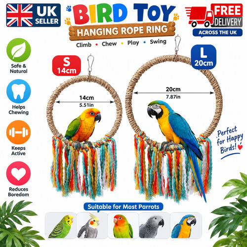Pet bird parrot - rope, ring
