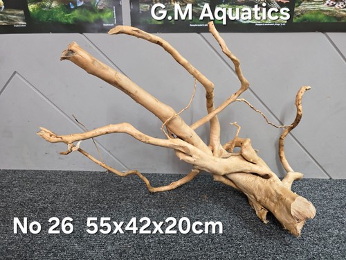 Azalea wood red - wood, /