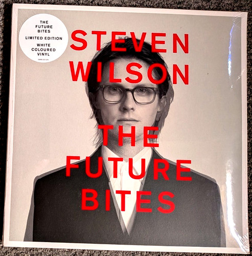 Steven wilson the future - steven, wilson.