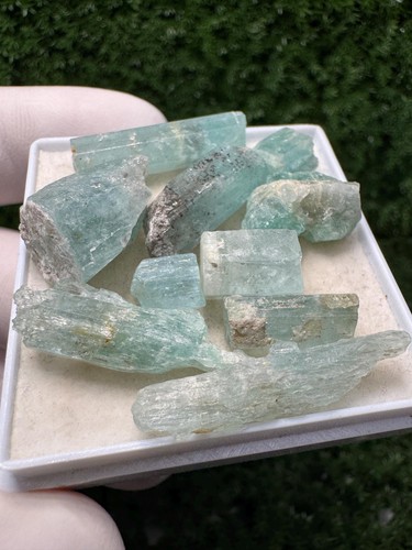 Rare aquamarine lot 10 - lot,