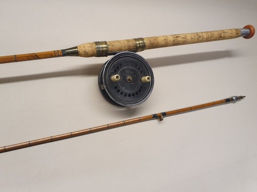Carp stalking split - stalking,