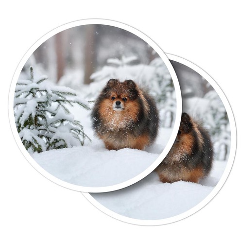 Vinyl stickers winter - 2x,