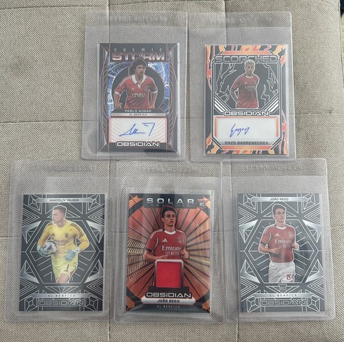 Panini obsidian 2025-26