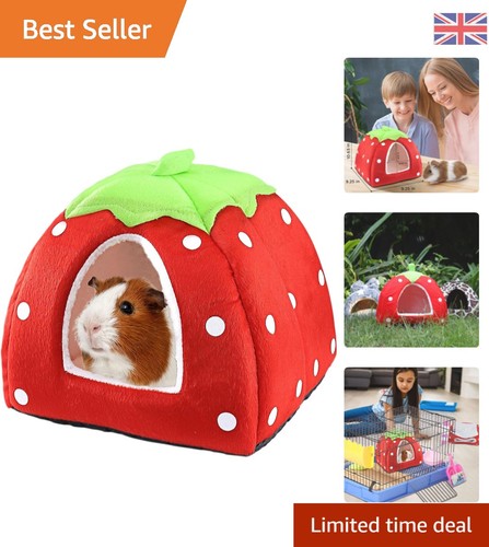 Dual purpose portable - dual-purpose,