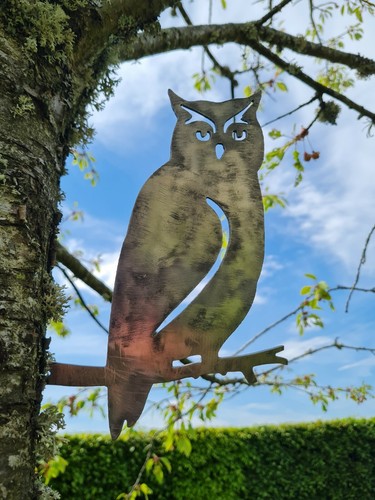 Metal owl bird silhouette - bird,