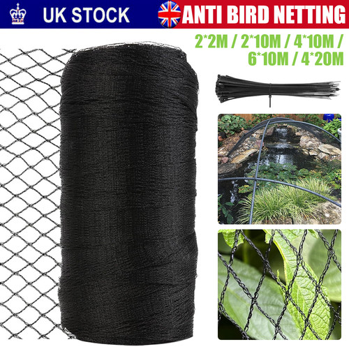 Anti bird crop veg netting - anti,