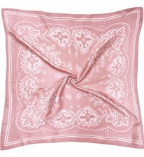 27x27 Blush Pink Paisley Wild