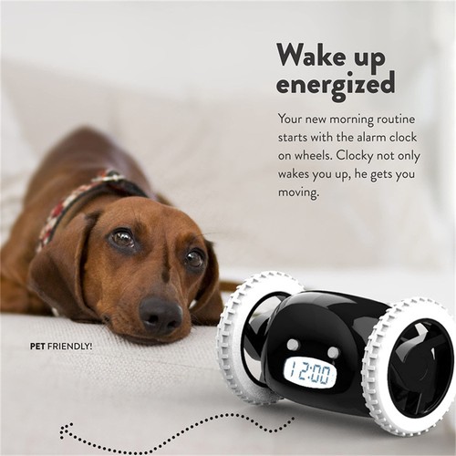 Lazy rolling escape electronic - lazy,