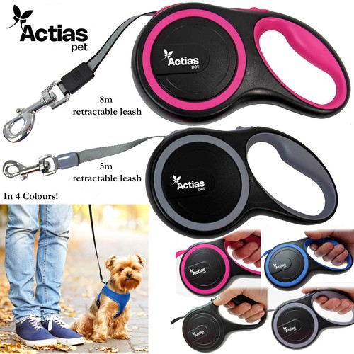 Retractable dog lead - dog,