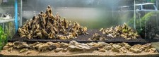 Natural Dragon Stone (Brown