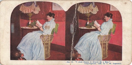 Stereoscopic view card - stereoscopic,
