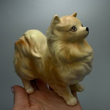 Vintage Pomeranian Spitz