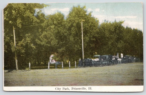 Princeville illinois horse - princeville, illinois~horse