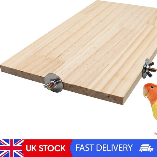 Inches large bird - 13.6×7.9,