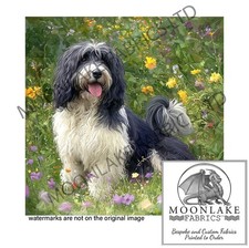 Polish lowland sheepdogs 100 - lowland, 100%