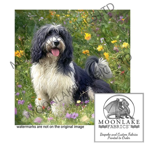 Polish lowland sheepdogs 100 - lowland, 100%