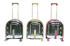 Transparent Trolley Case