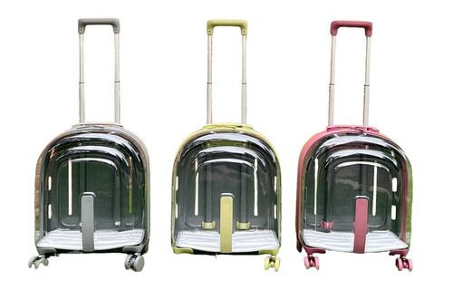 Transparent trolley case - transparent,
