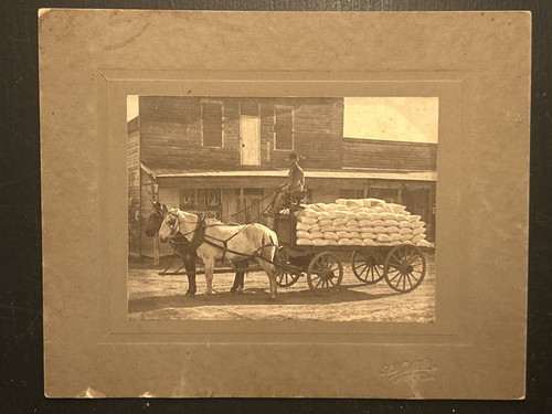 Antique horse drawn wagon - horse,