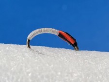 3 BARBLESS Buzzer Trout