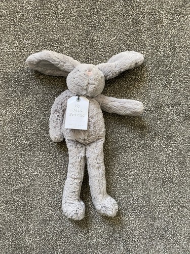 Next bunny rabbit best - rabbit, my