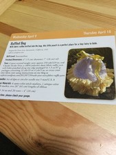 Ruffled Bag Knitting Pattern - Uses Novelty Ruffle Yarn