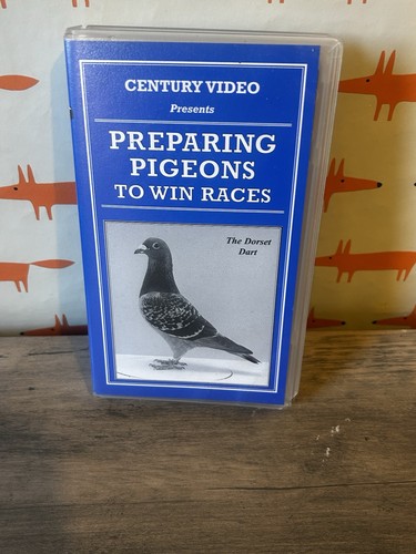 Preparing pigeons win - to, races