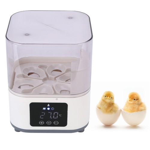 Incubator eggs fully - ɪ, 6
