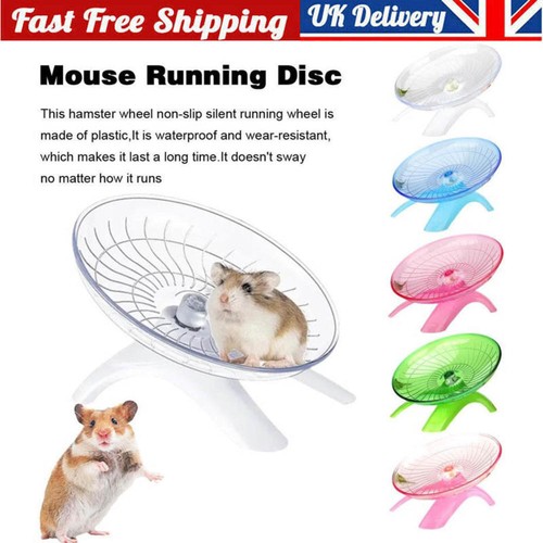 Pet hamster flying - pet, saucer